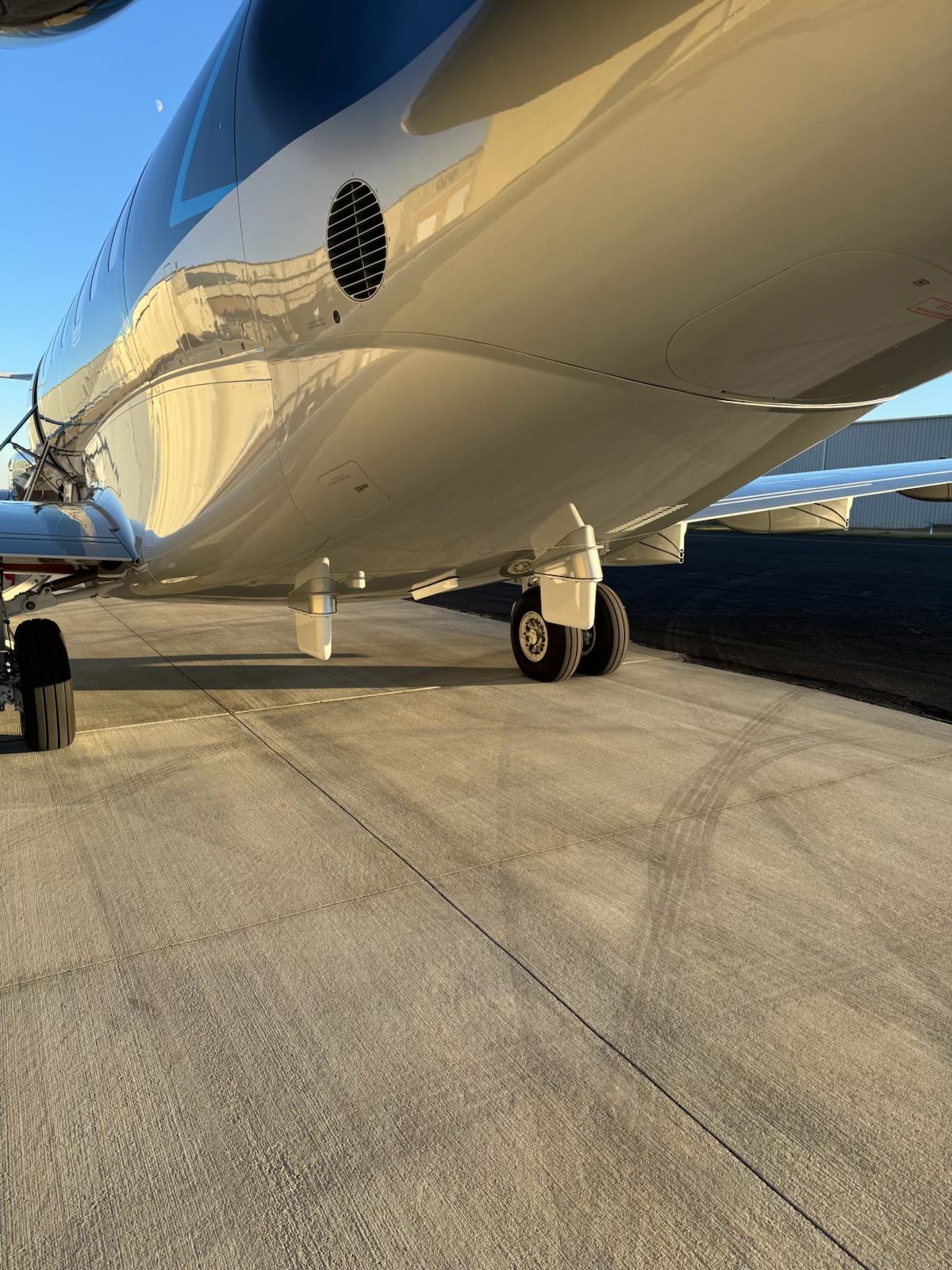 Gogo