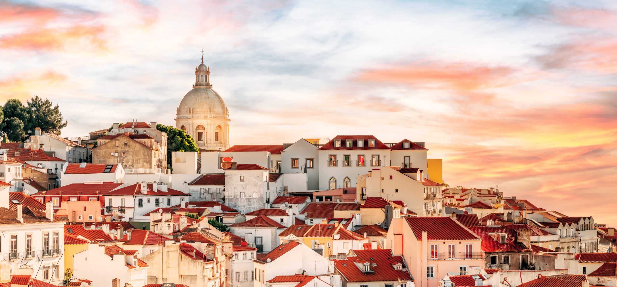 Armando Oliveira/shutterstock.com